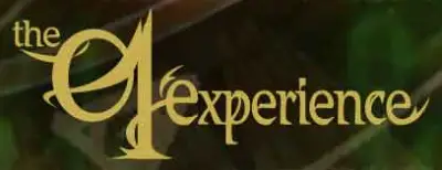 logo The 01Experience